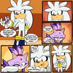  blaze_the_cat cat comic dreamcastzx1 feline female hedgehog male mammal silver_the_hedgehog sonic_(series) 