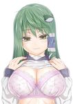  bow bow_bra bra breasts frog_hair_ornament green_eyes green_hair hair_ornament hair_tubes huge_breasts karasawa-40 kochiya_sanae lace lace-trimmed_bra lingerie long_hair pink_bra sailor_collar shirt_lift simple_background solo touhou underwear 