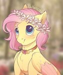  blue_eyes crossgender equine evehly feathered_wings feathers feral fluttershy_(mlp) friendship_is_magic fur girly hair male mammal my_little_pony pegasus pink_feathers pink_hair smile solo wings yellow_fur 