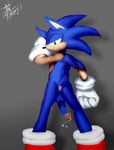  2016 anus backsack balls clothing gloves hedgehog jaynatorburudragon mammal penis precum raised_tail solo sonic_(series) sonic_the_hedgehog 