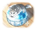  blue_eyes bowl dog ginziro husky ice licking looking_up lying no_humans original puppy shaved_ice 