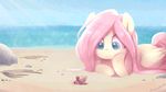  2016 animated beach cloud crepuscular_rays cute day equine eyes_closed female feral fluttershy_(mlp) friendship_is_magic hair hermit_crab horse imiokun jumblehorse long_hair lying mammal my_little_pony on_front outside pegasus pink_hair pony sea seaside sky smile solo water wings 