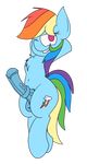  alpha_channel balls chest_tuft cutie_mark equine friendship_is_magic hair looking_at_viewer mammal mr_rottson multicolored_hair my_little_pony navel one_eye_closed pegasus penis rainbow_dash_(mlp) smile solo teeth tuft vein wings wink 