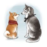  animal_focus blue_eyes brown_eyes dog ginziro goggles husky looking_back no_humans original scarf shiba_inu sitting tail urajiro 