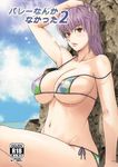 1girl ayane_(doa) bikini breasts dashigara_100 dead_or_alive large_breasts purple_hair red_eyes solo 