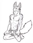  2016 african_wild_dog animal_genitalia animal_penis anthro balls boxers_(clothing) canine canine_penis clothing kneeling male mammal monochrome mostly_nude navel penis penis_through_fly penis_tip poking_out sheath simple_background sketch smile solo tsaiwolf underwear 