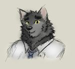  canine clothing dark_fur fluffy fur grey_fur grizzle looking_at_viewer male mammal necktie shirt simple_background sketch smile solo wolf wolfieboi yellow_eyes 