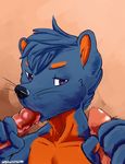  blue_fur cute fellatio fur handjob male male/male mammal mustelid oral otter penis sex siriuswolfus twink whiskers 