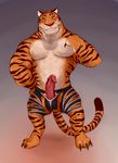  absurd_res anthro disney erection feline hi_res iceman1984 looking_at_viewer male mammal muscular penis simple_background solo stripper_tiger_(zootopia) tiger zootopia 