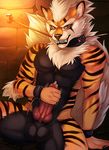  2016 abs animal_genitalia animal_penis anthro arcanine azelyn balls canine_penis collar grin knot muscular nintendo nude pecs penis pok&eacute;mon precum red_eyes restrained stripes video_games 