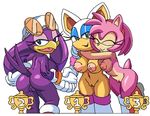  amy_rose anthro areola avian bat big_breasts bird breasts butt coolblue erect_nipples female group hedgehog mammal nipples nude pussy rouge_the_bat sonic_(series) sonic_riders swallow_(bird) wave_the_swallow 