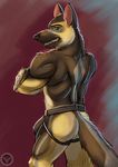  2016 anthro big_butt brown_fur bulge butt canine clothed clothing dog fur german_shepherd jaken_wolfy jockstrap looking_at_viewer male mammal muscular nude simple_background smile solo standing teeth topless underwear 