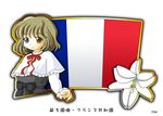  1girl brown_eyes flag france french_flag murakami_senami 