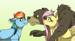  bear blue_eyes blue_feathers blue_fur cutie_mark equine eye_contact eyelashes feathered_wings feathers female feral fluttershy_(mlp) friendship_is_magic fur grey_fur grey_nose hair inner_ear_fluff inuhoshi-to-darkpen male mammal multicolored_hair my_little_pony pegasus pink_eyes pink_hair rainbow_dash_(mlp) rainbow_hair simple_background smile standing teeth white_background wings yellow_feathers yellow_fur 