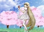  chii chobits sumomo tagme 