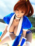  1girl 3d all_fours beach breasts brown_eyes brown_hair choker cleavage dead_or_alive exhibitionism incise_soul kasumi_(doa) large_breasts lips long_hair looking_at_viewer no_bra no_panties ponytail solo thighhighs 