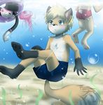  anthro blue_eyes blush butt canine cat clothing cub feline fish fox group hello_kitty jellyfish lagomorph male mammal marine partially_submerged rabbit sanrio speedo swimming swimming_trunks swimsuit tycloud underwater unknown_artist water young 