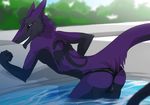  anthro bulge butt clothing fur kittentits looking_at_viewer male mostly_nude outside sergal smile solo swimming_pool swimsuit tattoo teeth 