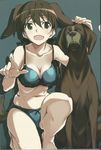  absurdres animal_ears blue_background bra breasts brown_eyes brown_hair cleavage dog dog_ears dog_tail gertrud_barkhorn hair_ribbon highres kurashima_tomoyasu medium_breasts open_mouth panties ribbon scan simple_background strike_witches tail twintails underwear world_witches_series 