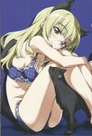  absurdres animal animal_ears blonde_hair blue_background blush bra breasts cat cat_ears cat_tail cleavage glasses highres kurashima_tomoyasu long_hair medium_breasts panties perrine_h_clostermann scan simple_background strike_witches tail underwear world_witches_series yellow_eyes 