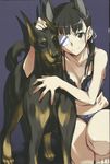  absurdres animal animal_ears black_hair blue_background bra breasts brown_eyes cleavage doberman dog dog_ears extra_ears eyepatch hair_ribbon highres kurashima_tomoyasu long_hair medium_breasts panties ponytail print_eyepatch ribbon sakamoto_mio scan simple_background strike_witches underwear white_eyepatch world_witches_series 