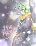  alternate_costume antennae blush breath character_name coat earmuffs green_eyes green_hair hands_in_pockets long_sleeves ototobe profile scarf solo standing touhou winter winter_clothes wriggle_nightbug 