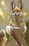  anthro armello cadmiumtea canine clothed clothing female fox fur mammal scarlet_(armello) solo yellow_fur 