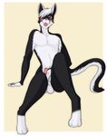  2015 anixis anthro balls black_fur blush cat drooling feline fur girly green_eyes hair hair_over_eye humanoid_penis looking_at_viewer male mammal multicolored_fur penis precum proby saliva sitting solo tongue tongue_out two_tone_fur white_hair 