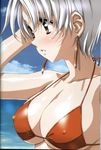  bikini bikini_top blush breasts brown_eyes cleavage cloud copyright_request day earrings highres jewelry large_breasts looking_away non-web_source short_hair sky smile solo swimsuit urushihara_satoshi white_hair 