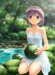  blush collarbone dress food fruit ikeda_jun_(mizutamari) nature original purple_eyes purple_hair river see-through short_hair sitting smile solo sundress tree water watermelon wet wet_clothes wet_dress 