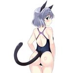  1girl animal_ears ass blue_eyes blush kyougoku_shin looking_at_viewer looking_back one-piece_swimsuit sanya_v_litvyak short_hair silver_hair simple_background solo strike_witches swimsuit tail transparent_background 