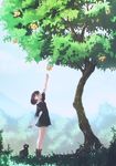  animal arm_up black_dress blurry boots brown_eyes brown_footwear brown_hair bush cat day depth_of_field dress food fruit grass hair_ornament hairclip kagawa_yuusaku looking_up original outdoors outstretched_arm reaching_out standing tiptoes tree 