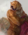  2016 anthro black_nose blue_tongue brown_fur canine chow_chow digital_media_(artwork) digital_painting_(artwork) dog ear_piercing fur half-length_portrait looking_at_viewer male mammal nude oouna open_mouth piercing portrait signature simple_background smile solo towel 