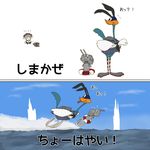  bird character_name closed_eyes commentary cosplay day electro fleeing ha-class_destroyer kantai_collection lifebuoy looney_tunes rensouhou-chan road_runner_(looney_toons) roadrunner running running_on_liquid shimakaze_(kantai_collection) shimakaze_(kantai_collection)_(cosplay) shinkaisei-kan tongue tongue_out translated water wheel_o_feet wo-class_aircraft_carrier 