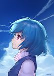  ainy77 blue_hair blue_vest cloud day from_side juliet_sleeves long_sleeves looking_up portrait puffy_sleeves red_eyes short_hair signature sky smile solo tatara_kogasa touhou vest 