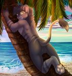  4_toes 5_fingers anthro backsack balls bare_back beach day feline fur green_eyes grey_fur grey_hair hair inner_ear_fluff ketty-leopardess lion male mammal outside palm_tree pawpads pink_nose seaside sky smile solo toes tree water 