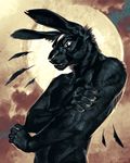  5_fingers anthro black_body black_fur black_nose caraid fur lagomorph looking_at_viewer male mammal midriff nude rabbit standing 