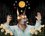  2016 5_fingers anthro blue_eyes bust_portrait clothed clothing detailed_background digital_media_(artwork) digital_painting_(artwork) donkey equine flower flower_crown food forest front_view fruit fur grapes grey_fur long_ears looking_at_viewer male mammal moon night outside plant portrait raised_arm sky solo star tree trucky 