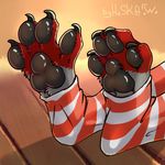  4_toes alexander_silverfang ambiguous_gender black_pawpads canine claws clothing digital_media_(artwork) digitigrade folf foot_focus fox fur grey_fur haska hybrid legwear mammal pawpads paws red_fur socks solo toe_claws toe_spread toeless_socks toes wolf 