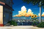  cloud cloudy_sky day flower house mizuasagi no_humans original outdoors scenery sky sunflower telephone_pole 