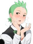  1boy agemono blush cum cum_on_body facial green_hair male_focus pokemon smile solo steam tagme yaoi 