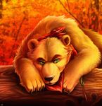  autumn bandanna bear black_nose brown_fur chibity detailed_background feral front_view fur green_eyes hi_res log looking_at_viewer male mammal orange_theme solo tree warm_colors wood 