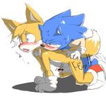  anal anal_penetration anthro canine duo fox giga_(artist) hedgehog male male/male mammal miles_prower penetration penis sonic_(series) sonic_the_hedgehog 