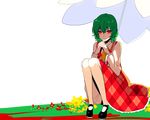  ascot checkered checkered_skirt checkered_vest glowing glowing_eyes green_hair hair_between_eyes hands_clasped kazami_yuuka long_sleeves looking_at_viewer mary_janes nr_(cmnrr) own_hands_together parasol red_eyes shoes short_hair sitting skirt smile solo touhou transparent_background umbrella vest white_umbrella 