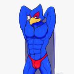  abs avian bird bulge clothing falco_lombardi koorivlf male muscular nintendo pecs speedo star_fox swimsuit video_games 