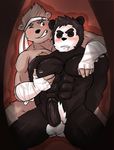  abs anthro balls bandage bear biceps black_fur black_nose blush brown_fur drooling duo erection eyes_closed fur grin hair headband humanoid_penis kemono male male/male mammal muscular muscular_male nipples nude one_eye_closed panda pecs penis ramu_toumitsu red_background sake_hachimitsu saliva simple_background smile teeth thewildwolfy utau white_fur 