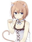  animal_ears bare_shoulders blanc blancpig_yryr blue_eyes brown_hair cat_ears cat_tail kemonomimi_mode looking_at_viewer neptune_(series) paw_pose short_hair solo tail 