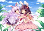  animal_ears bunny_ears highres inaba_tewi long_hair multiple_girls purple_hair reisen_udongein_inaba short_hair touhou usagihime 