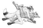  anal anal_penetration canine cum da&#039;kor erection fox licking male male/male mammal nude penetration penis sex tongue tongue_out vulpinepilot 