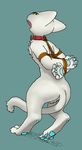  ambiguous_gender arms_bound_to_collar arms_tied bound cat collar digitigrade dutch_angle feline hands_behind_back kigoh kigoh-neko mammal open_mouth pawpads rear_view sharp_teeth standing tail_between_legs teeth 